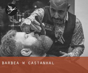 Barbea w Castanhal Barbea w Castanhal