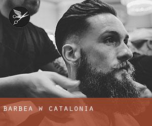 Barbea w Catalonia Barbea w Catalonia