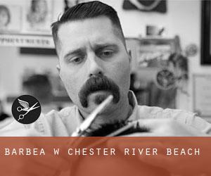 Barbea w Chester River Beach