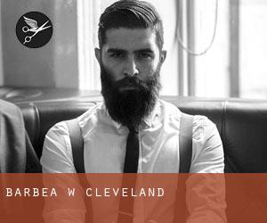 Barbea w Cleveland Barbea w Cleveland