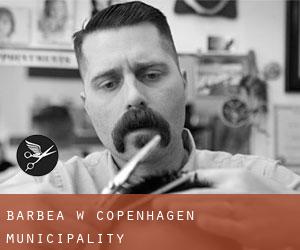 Barbea w Copenhagen municipality Barbea w Copenhagen municipality