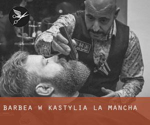 Barbea w Kastylia-La Mancha Barbea w Kastylia-La Mancha