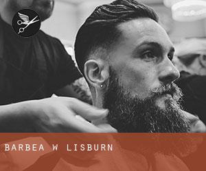 Barbea w Lisburn Barbea w Lisburn