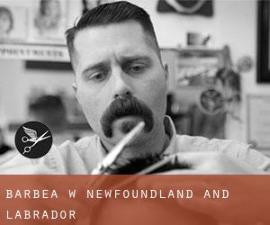 Barbea w Newfoundland and Labrador