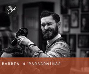 Barbea w Paragominas Barbea w Paragominas