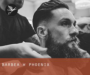 Barbea w Phoenix Barbea w Phoenix
