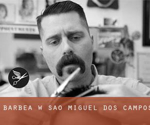 Barbea w São Miguel dos Campos Barbea w São Miguel dos Campos