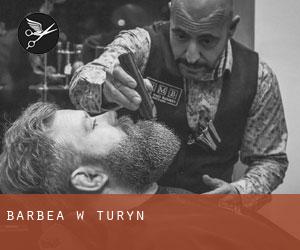 Barbea w Turyn Barbea w Turyn