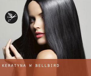 Keratyna w Bellbird