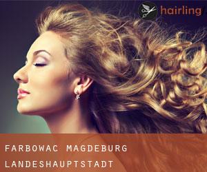 Farbować Magdeburg Landeshauptstadt Farbować Magdeburg Landeshauptstadt