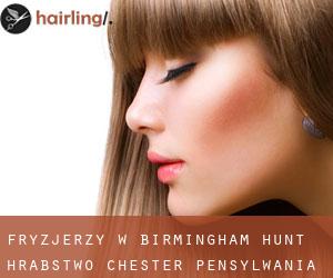 fryzjerzy w Birmingham Hunt (Hrabstwo Chester, Pensylwania)