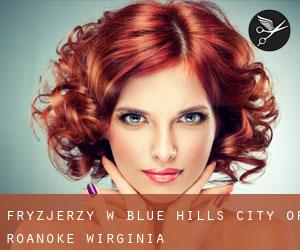 fryzjerzy w Blue Hills (City of Roanoke, Wirginia)