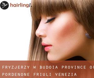 fryzjerzy w Budoia (Province of Pordenone, Friuli Venezia Giulia)