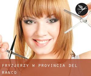 fryzjerzy w Provincia del Ranco