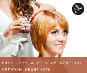 fryzjerzy w Veendam (Gemeente Veendam, Groningen)